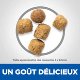 HILL'S SCIENCE PLAN Aliment Sec pour Chat Adulte Urinary Health Poulet